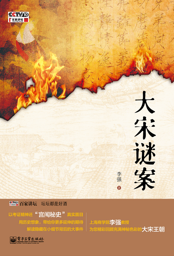 大宋谜案