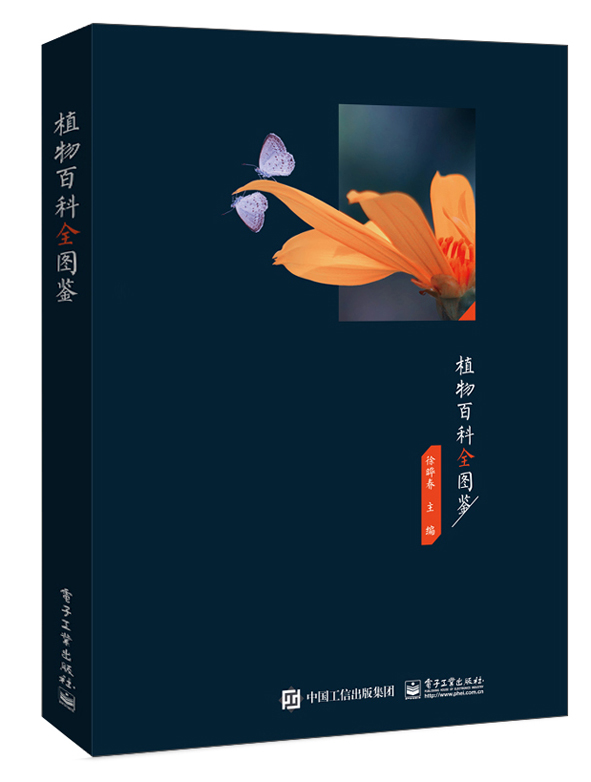 计算机视觉与深度学习实战：以MATLAB、Python为工具