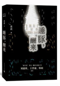 睡豚，醒来