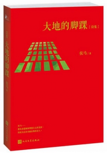 大地的脚踝