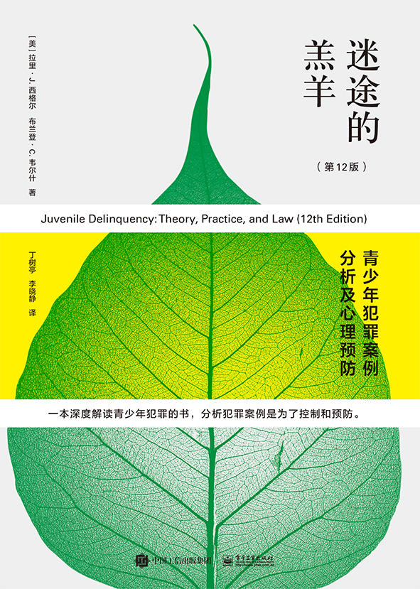 迷途的羔羊：青少年犯罪案例分析及心理预防（第12版）