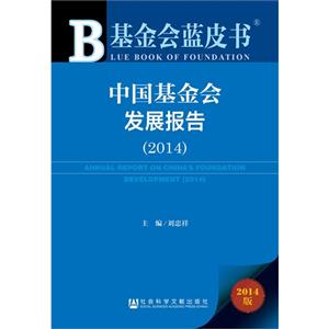 中国基金会发展报告