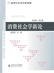 消费社会学新论